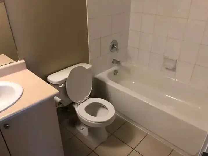 Room with a private washroom for rent near TMU, GBC, Saint M.H