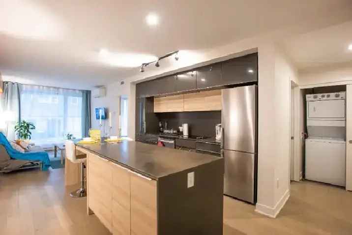 CONDO FOR RENT IN GRIFFINTOWN