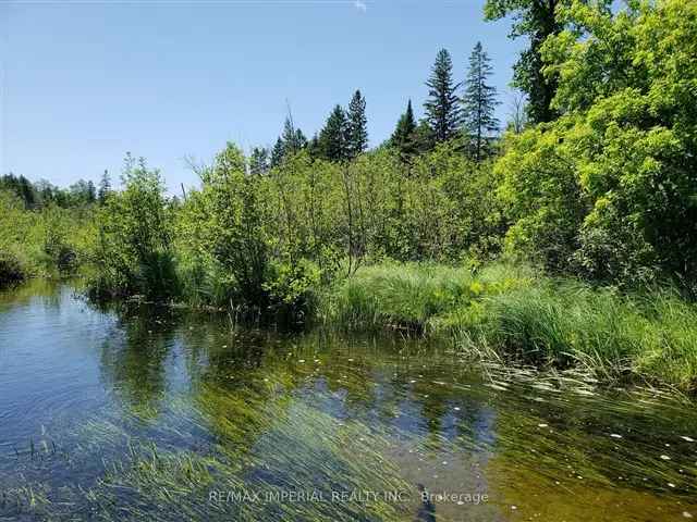 Land For Sale in Whitewater Region, Ontario