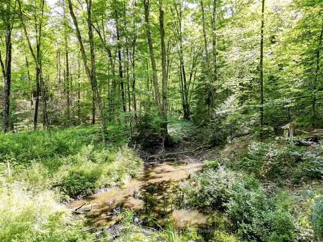 366 Acre Private Lot Build Your Dream Home