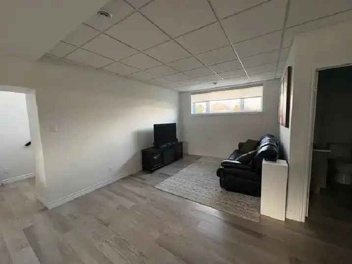 1 bedroom basement apartment