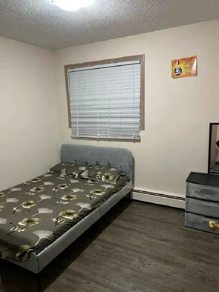 Room for rent