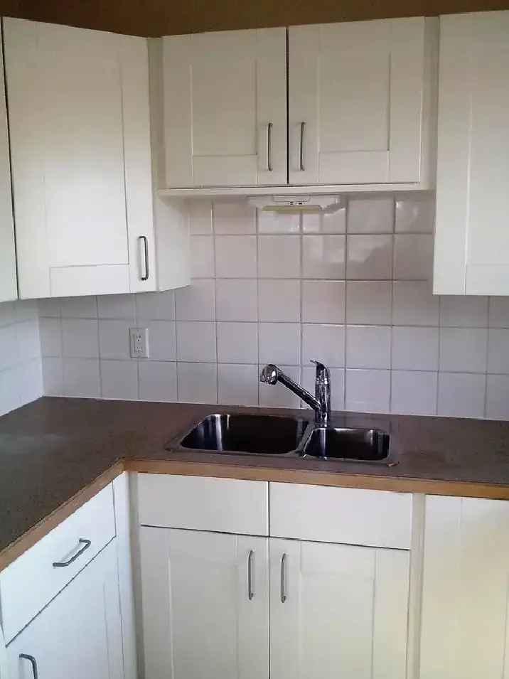 Spacious Bachelor Suite for Rent May 15th