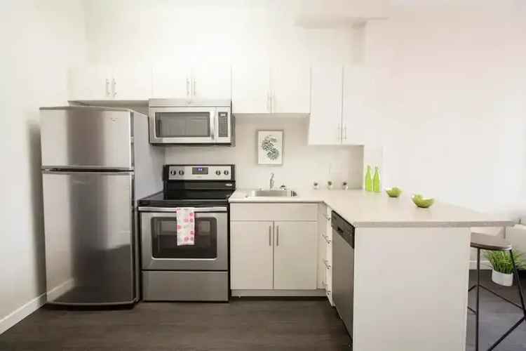 Rent apartment Taché Boutique Apartments Winnipeg pet friendly