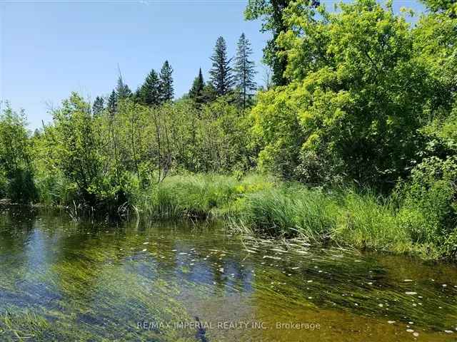 Dream House Lot on Muskrat River 162 Acres Algonquin Trail Access