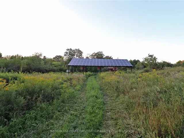 47 Acres Solar Farm Investment Great for Home Building or Agriculture