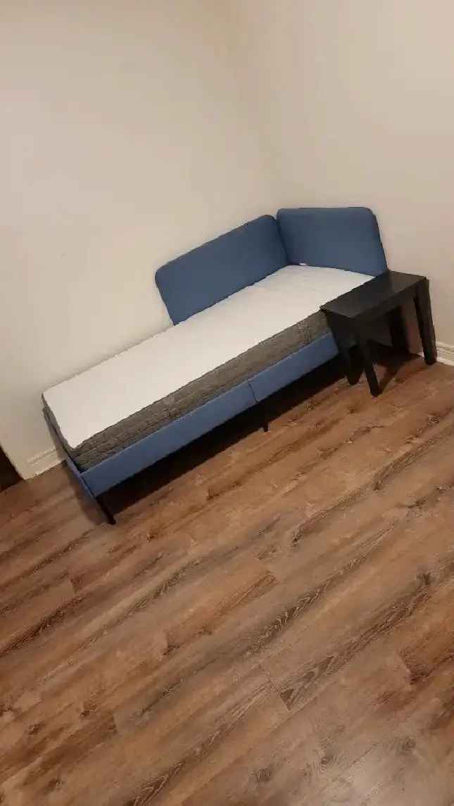 PRIVATE ROOMS IN THE GTA FOR RENT: FEMALE STUDENT IDEAL