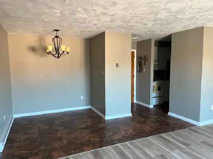 2 Bedroom downtown apartment Available Dec 1st 1500/month