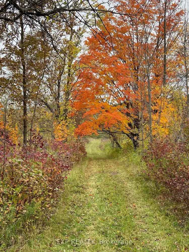 23 Acre Private Property in Creemore with Abundant Wildlife
