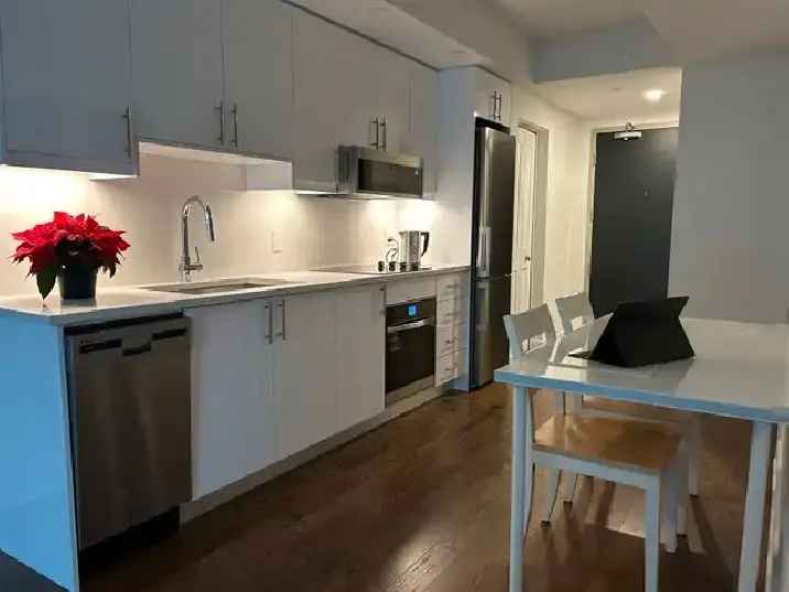 1 b 1 b apartment for RENT（180 George Street Ottawa, K1N 0G8)