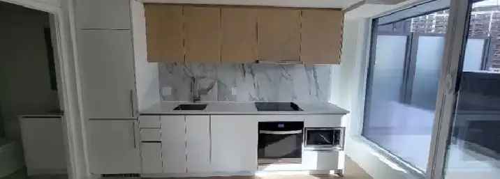 1 1Den Condo near York University