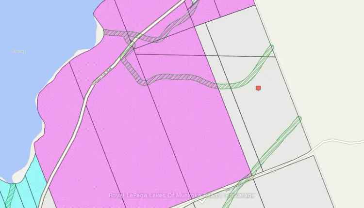 Buy Land Private 79 Acre Paradise with Three Season Cabin