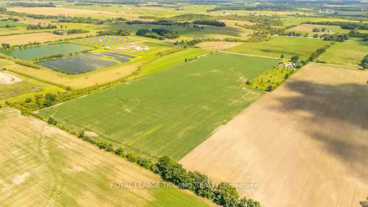 Buy Land in Glencoe with Agricultural Potential and Nearby Amenities