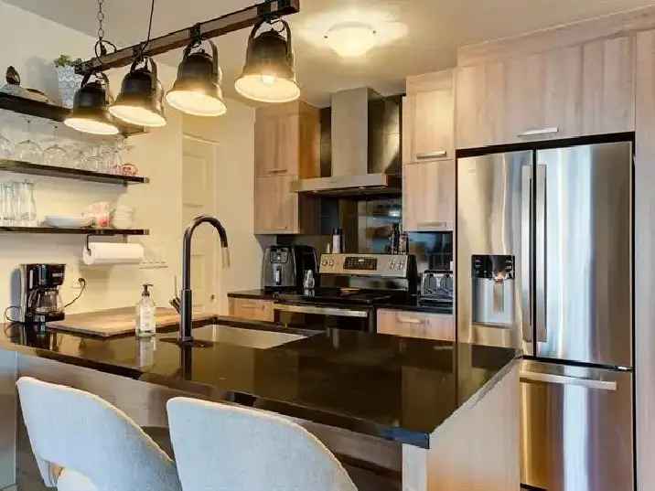 Fully Furnished 3 1 2 Condo Near Metro Honoré Beaugrand