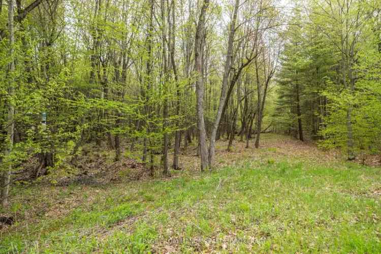 Buy Vacant Lot in Sharbot Lake with Waterfront Access and Greenery