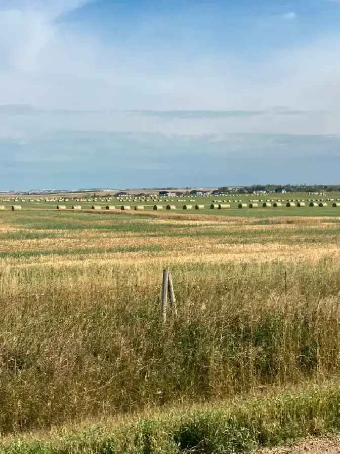 140 ACRES OF LAND FOR SALE NORTH OF CALGARY