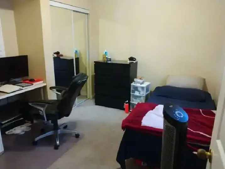Furnished Room Rental Near Algonquin College Merivale