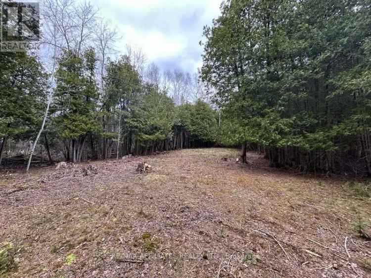2.5-Acre Treed Lot for Sale Near Merrickville