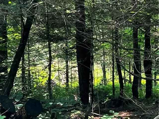 Land For Sale in Muskoka Lakes Township, Ontario