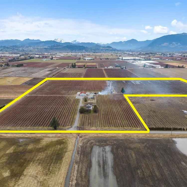 30-Acre Blueberry Farm with 4-Bed Home and Workshop
