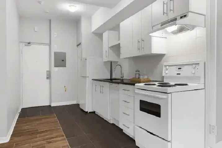 Beautiful renovated 1BR 1BA apartment in Downtown Ottawa!