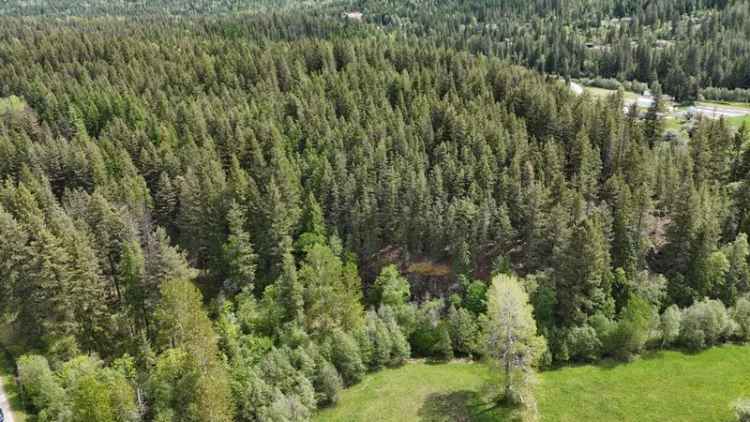 Sub-dividable West Kootenay Acreage - Pass Creek, BC