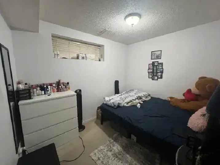 Basement room for rent