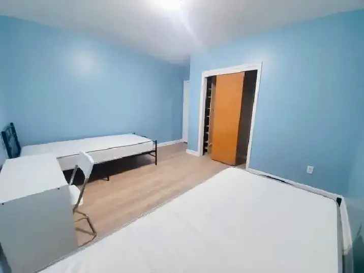 private room for rent in scarborough