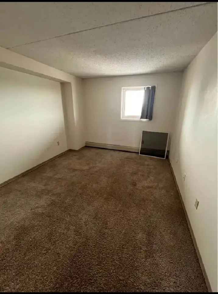 Room for rent in 1 bedroom apartment with beautiful city view