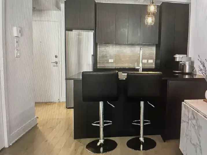 Beautiful Luxury Condo for Rent