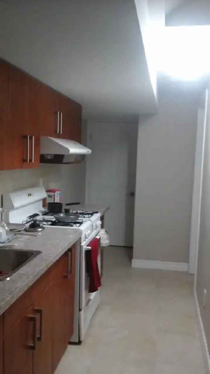 Room for rent basement with private washroom near Chinatown