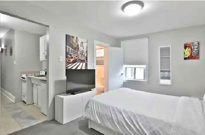 Avenue Davenport,Annex,Nov1, Small Studio,ovr shop,$1450 heat in