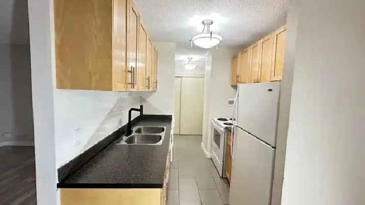 Rent Stylish Recently Renovated Apartment in Downtown Edmonton