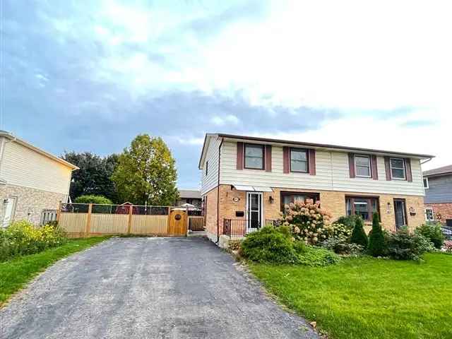 Spacious Family Home Near Cleardale Public School