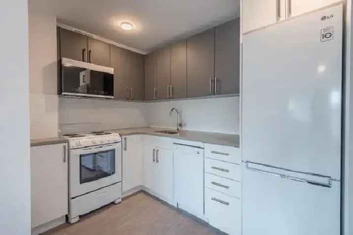 Gorgeous 1 bedroom apartment in the Downtown Mcgill area