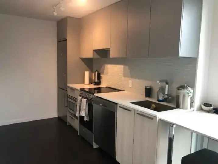 Rent New Fully Furnished Condo with Appliances near Humber River Park