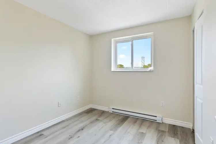 Windsor Apartment: Modern Renovated Suite in Sandwich Town