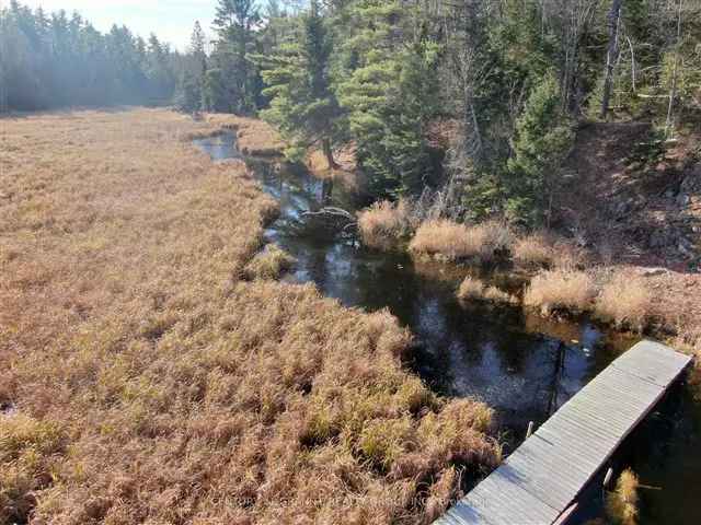 50-Acre Off-Grid Hunting Cabin Retreat Near Coe Hill