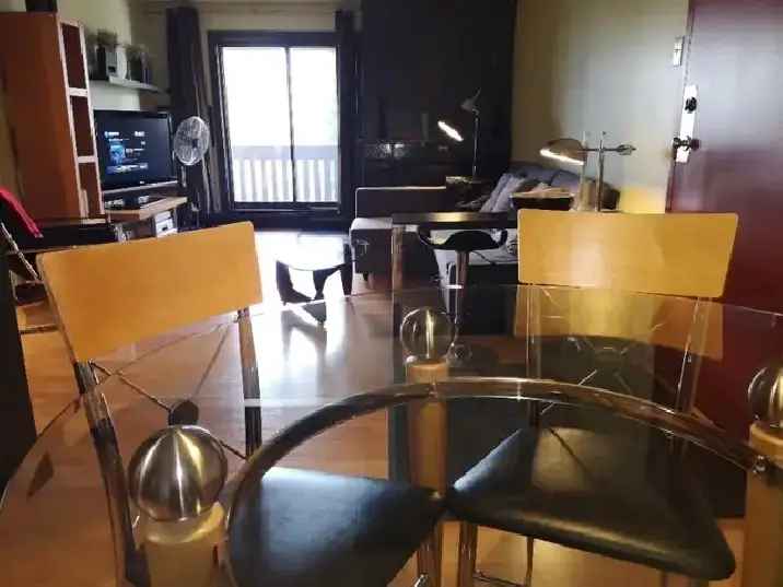 Rent Large Furnished 1 Bedroom Condo in Charleswood with River Views