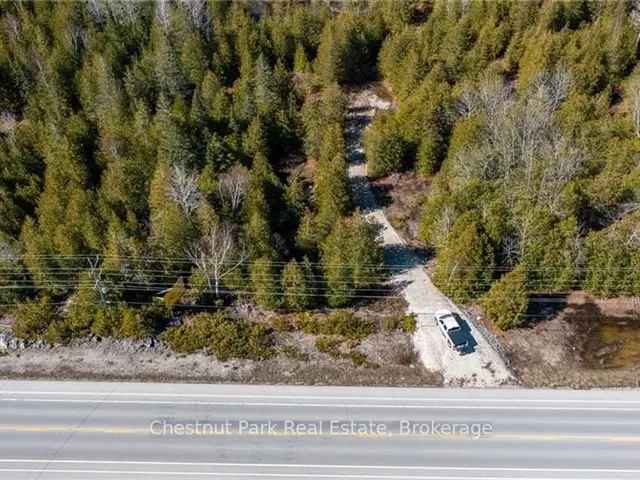 5-Acre Wooded Lot near Lion's Head and Tobermory - Build Your Dream Home