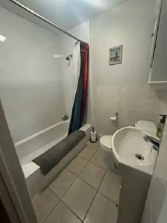 1 Bedroom Basement Apartment - Renovated - Near Public Transit