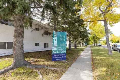 1 room apartment of 56 m² in Calgary