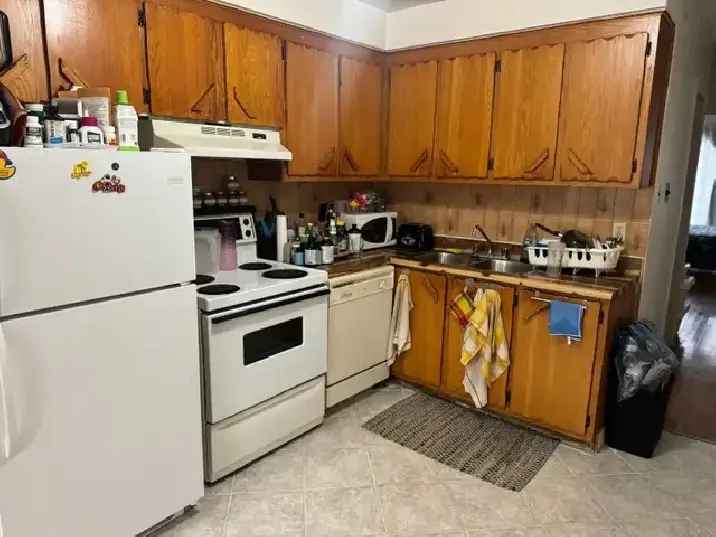 4 1\/2 Apartment for Rent Near Cegep Rosemont