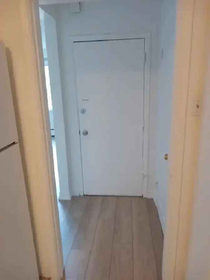 large renovated 2 bedroom apt