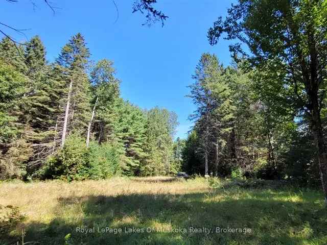 1.2 Acre Building Lot Algonquin Highlands Private Treed Lot