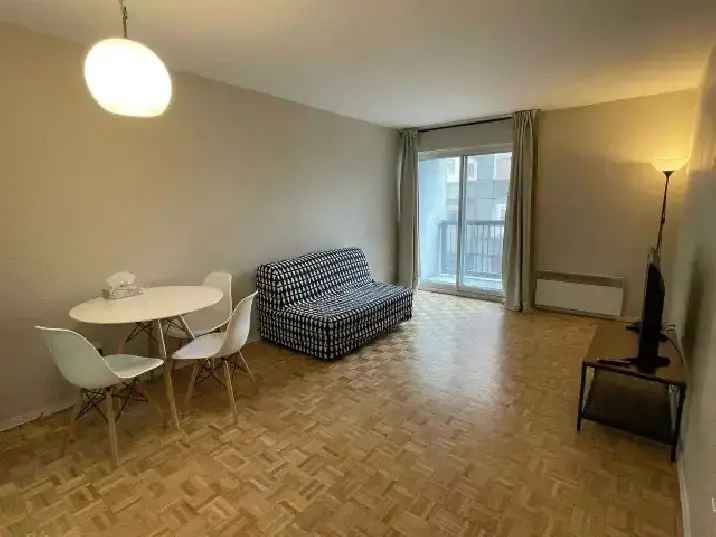 Furnished Downtown 1-Bedroom Apartment Near Concordia University