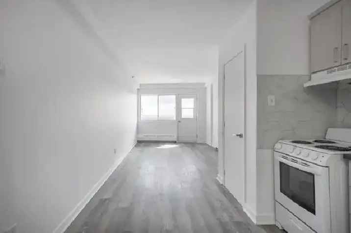 Beautiful Studio for Rent in HoMa Rosemont Near Park and Metro