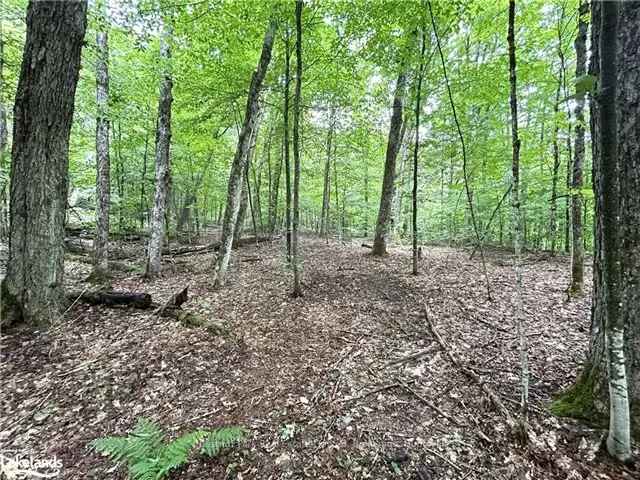 Family Home on 24.49 Acres with Geothermal Furnace