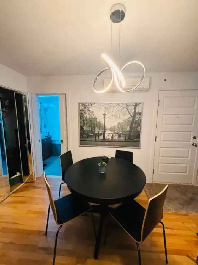 Modern 4 1 2 Point St Charles Furnished Apartment