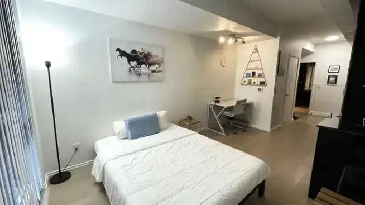 Furnished Downtown Toronto Studio for Lease May 1st